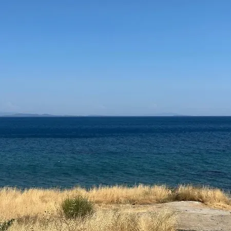 Merlot Assos Ayvacik